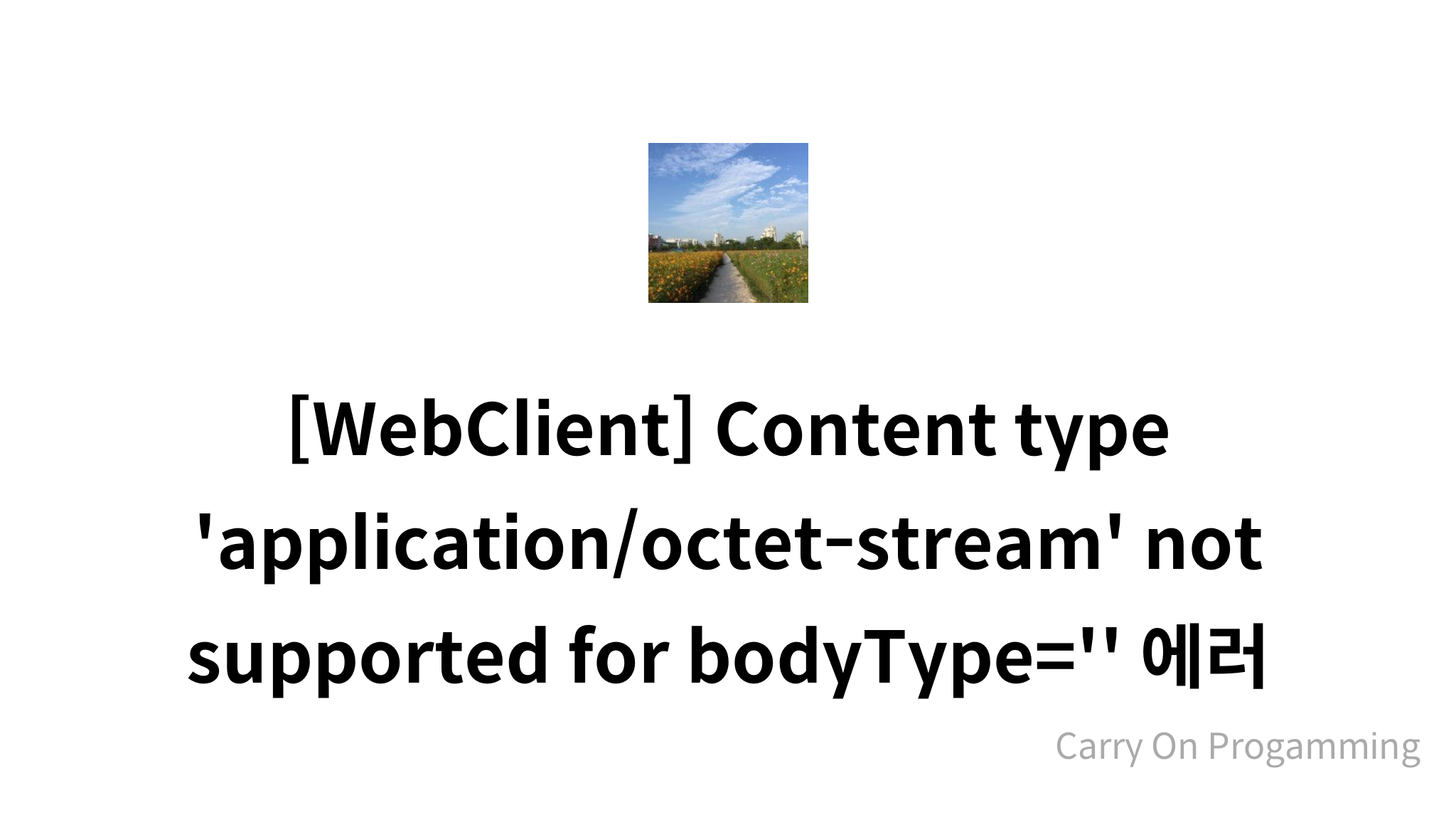 WebClient Content Type application octet stream Not Supported For webclient-content-type-application-octet-stream-not-supported-for